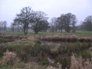 Die - Landschaft - um Fischerhude
